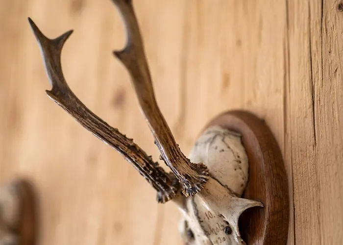 Bergfried - Designwohnung Mit Weitblick