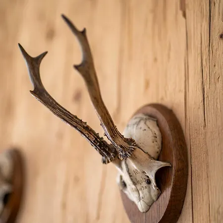 Bergfried - Designwohnung Mit Weitblick